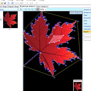 PMT-LeafAnalysis专业叶片分析软件